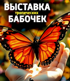 Выставка тропических бабочек и авторские мастер‑классы со скидкой до 28%