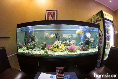 Комплексная мойка «Техно двор» на Ложевой 130А со скидкой 50%!