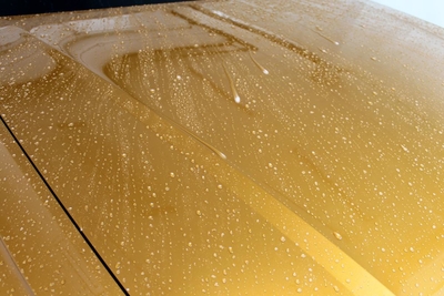 Студия «Престиж» (PRESTIGE) дарит скидку 50% на химчистку и комплексы!