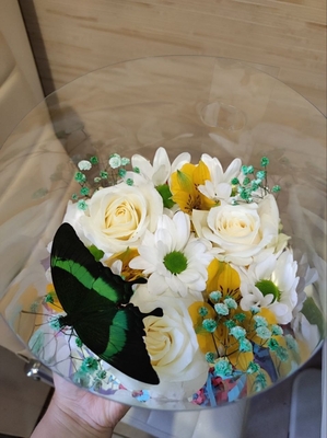 Выставка тропических бабочек и авторские мастер‑классы со скидкой до 28%